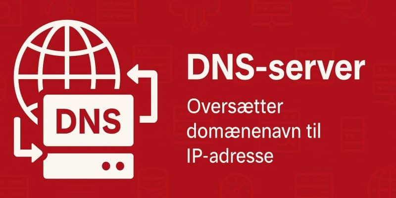 dns server