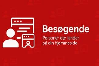Hvad er en besøgende?