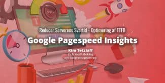 Reducer serverens svartid - Google Pagespeed Insights - Optimer svartiden