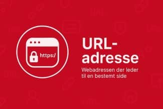 Hvad er en url adresse? – Sådan finder du url adressen