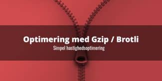 Gzip komprimering og Brotli komprimering